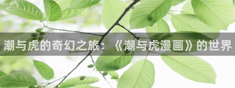 类似拷贝漫画：潮与虎的奇幻之旅：《潮与虎漫画》的世界