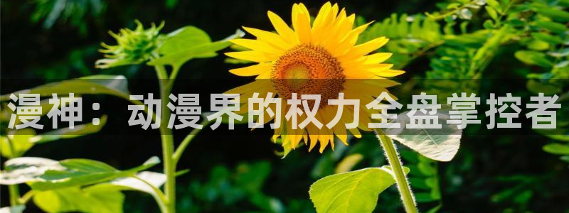 拷贝推荐漫画app：漫神：动漫界的权力全盘掌控者