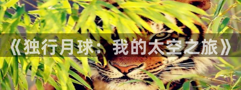 copy拷贝漫画官网入口：《独行月球：我的太空之旅》
